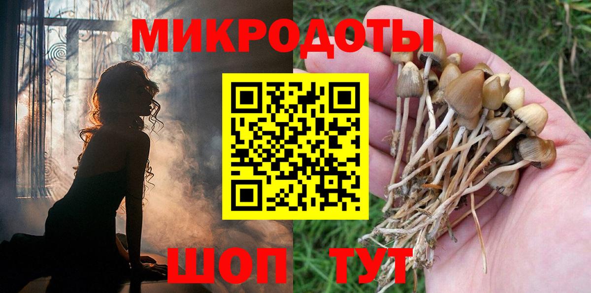 Псилоцибиновые грибы Psilocybe Краснокаменск