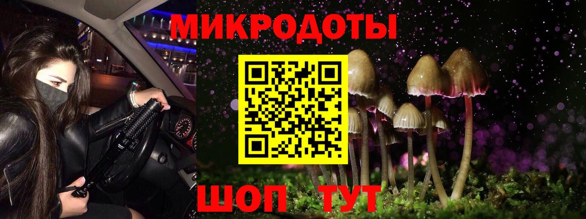 Краснокаменск  Галлюциногенные грибы мицелий  закладка  Вход с VPN 